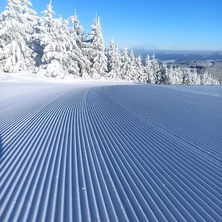 Lägenhet Sw Czarna Gora *