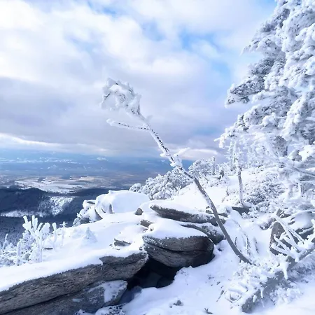 Lejlighed Sw Czarna Gora Sienna (Klodzko)