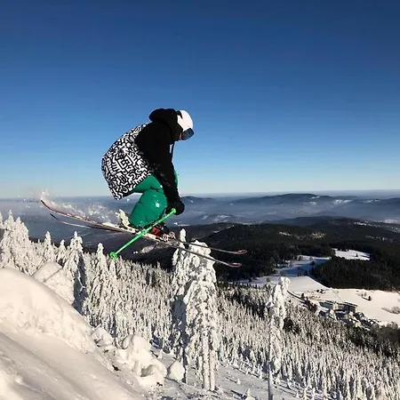 Daire Sw Czarna Gora Sienna (Klodzko)