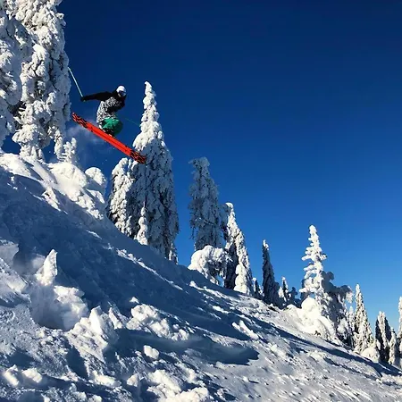 Lejlighed Sw Czarna Gora *