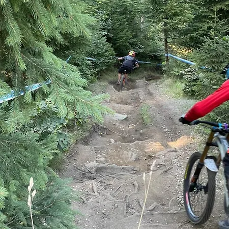 Daire Sw Czarna Gora *