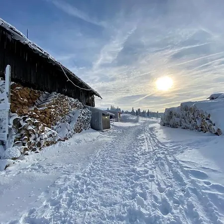 Lejlighed Sw Czarna Gora