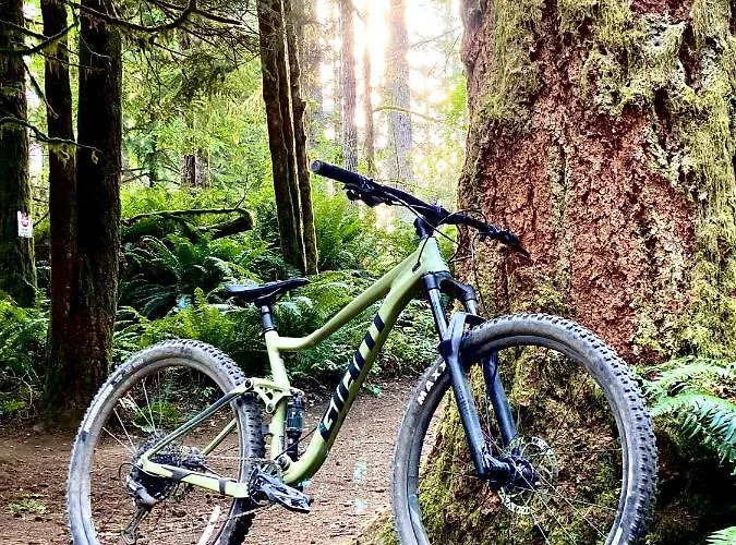 Sw Czarna Gora Sienna (Klodzko)