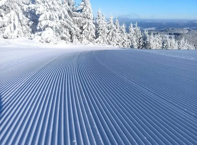 Apartment Sw Czarna Gora *