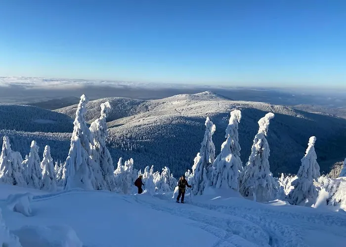 Apartment Sw Czarna Gora Sienna (Klodzko)