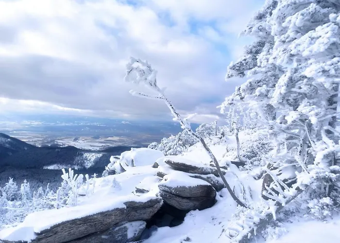 Apartment Sw Czarna Gora Sienna (Klodzko)