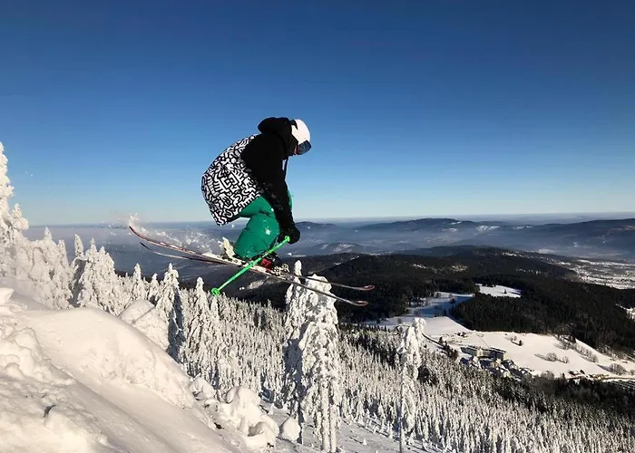 Apartment Sw Czarna Gora Sienna (Klodzko)