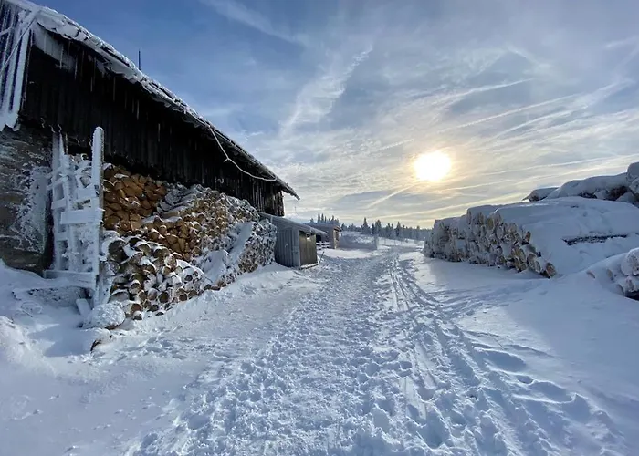 Lejlighed Sw Czarna Gora